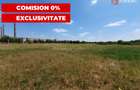 COMISION 0% Teren de vanzare intravilan de 5000 mp in zona Sagului - 7