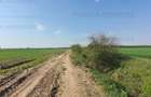 3 loturi de teren langa padure langa lacul Colacu, Dambovita - 7