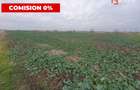 Comision 0% Teren extravilan agricol 21,32 ha sau intravilan cu PUZ aprobat - 11