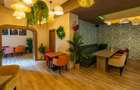 Decebal -DRISTORULUI -ALBA IULIA - 240 mp-PRET 5.000 EURO - 6