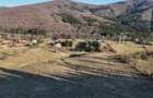 Teren intravilan la baza pădurii Valea Doftanei sat Traisteni (poduri) - 15