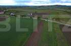 Teren agricol, 5.200 mp, Comuna Sendriceni - 3