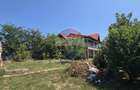 DE VANZARE Casă cu livadă lângă Lacul Făcău  30 min de BUCURESTI - 6