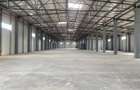 Vanzare depozit/hala/spatiu industrial Voluntari - Afumati Doraly - 8