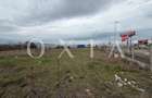 OX698 Oportunitate Investitie , 8036 MP, Buziasului-Hornbach. - 4