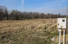 Teren Ghermanesti-Ciofliceni, in com. Snagov, strada Stefanita Voda. Negociabil - 6