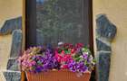 Vand casa 3 camere ARIUSD - 16