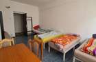 Cazare muncitori garsoniere/apartamente la curte in Vladimirescu - 20