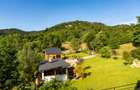 Vand pensiune, cabana, casa  - 1