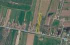 Teren intravilan Snagov / Tancabesti / 6.296 mp / comision 0% - 2