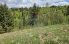 Teren 4048mp Campulung Moldovenesc, Strada Izvorul Alb, Suceava - 9