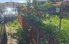 Casa de vanzare cu livada, fanta, 98 mp, Str. Principala - Coada Malului
