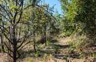 Casă renovată cu farmec istoric, livadă și 3.600 mp de teren | Teiș - 16