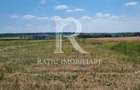 Teren intravilan | Cihei | Bihor - 5