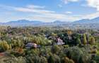 Teren intravilan în Zărnești, zona Tohanita, cu pădurice și parau curg - 6