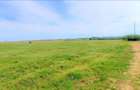 OCAZIE ! EFORIE NORD 3 LOTURI 517 MP. 19.500 EURO IDEAL INVESTITIE ! - 8