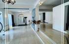 Elegant Show room spațiul de închiriat Aradul nou P+E Arad disponibil - 6