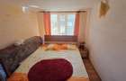 Casa cu gradina si foisor in Brazii Arad - 8