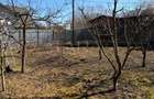 Teren generos și potențial ridicat – proprietate rară în Cluj-Napoca - 1