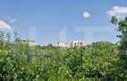 Teren intravilan, 9600 mp, zona Plaiul Vulcanesti - 4