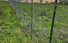Teren 900 mp Cernica | Toate utilitățile | Deschidere 20 ml | Zonă nouă de case - 6