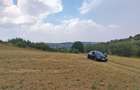 2 Parcele de teren extravilan zona Bradet Pret 3000eur/ar neg usor - 1