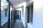 Spatiu comercial, zona Torontalului - 12