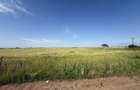 Teren 10 hectare pretabil pt panouri solare-Aricesti Rahtivani - 3