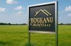 BG136-Teren Agricol 53 ha comasat-DJ 593A-Jud.Timis Peciu Nou - 2