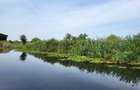 Dimineți pe ponton, seri la piscină – viața la Snagov - 5