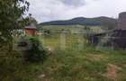 Casa pitoreasca în Viile Tecii cu o grădina de 26 de arii - 6