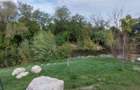Casă cu ieșire la Lacul Snagov | Piscină și ponton | Siliștea Snagovul