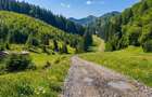 Oportunitate Investiție–Teren Intravilan 2.763 mp, Poiana Brașov Str. Stânii - 6