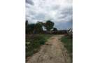REL4000117 Teren Ciolpani - Piscu - loturi intre 968 mp si 974 mp - 6