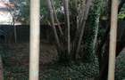 Casa Individuala zona Dambovita peste 450 Mp Teren - 16