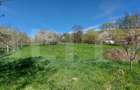 Casă autentică  3.100 mp teren, livadă si parau I Lisnau - 5