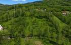 Oportunitate investitie teren  la munte, Prahova | 3.485 mp | View spectaculos - 1