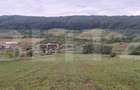 Teren intravilan de vânzare în Bozeni – 1.500 m2 | Ideal pentru construcție - 4