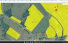 Teren agricol 4.2 ha Nades-Mures 2 euro mp - 2