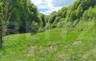 EXCLUSIVITATE! Teren extravilan, 5.400 mp, Comuna Iara, Valea Vadului - 5