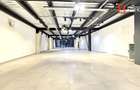 Showroom premium pe 2 nivele 560 mp, in zona Lipovei - 2