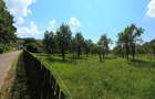Teren intravilan 8.000 mp, Arefu – Transfăgărășan | livadă, teren plat