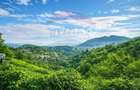 3 CAMERE CU GRADINA PRIVATA SI PANORAMA | SEASONS RESIDENCE D. POIENII - 35