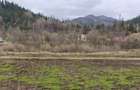 Teren intravilan, 22600mp, zona Manastirea Sucevita - 1