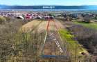 Casa de vanzare in Borlesti, Pomi | 37 ari teren | Comision 0% - 21
