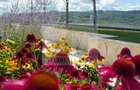 Penthouse | Etaj 14 | Seasons | Direct de la Dezvoltator!
