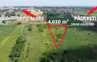 Investitie | Teren 4.030 m² in Satu Mare | Amatiului - Drum asfaltat - 2