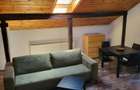 STUDIO-DUPLEX DE VÂNZARE | VALEA FURCII – DRUMUL TABEREI | 78.000 € NEGOCIABIL - 11