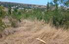 Teren intravilan, 10000 mp, zona Mlecanesti - 1