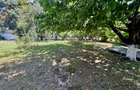Vila Manastirea Snagov - 5